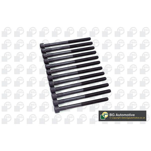 BGA Cylinder Head Bolt Set M12 fits Ssangyong Kyron 2005-2014 2.7