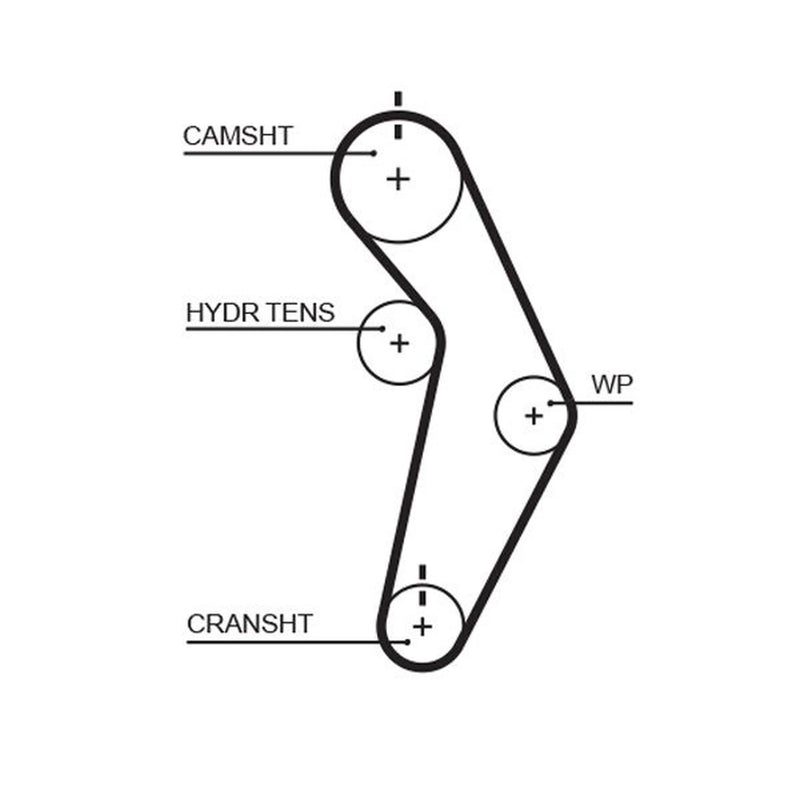 Gates Timing Belt Cambelt 112 Teeth T245