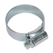 Sealey HI-GRIPï Hose Clip Zinc Plated25-35mm Pack of 20 HCJ1 Sealey - Dynamic Drive