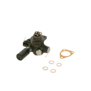 Bosch Fuel Pump Assembly
