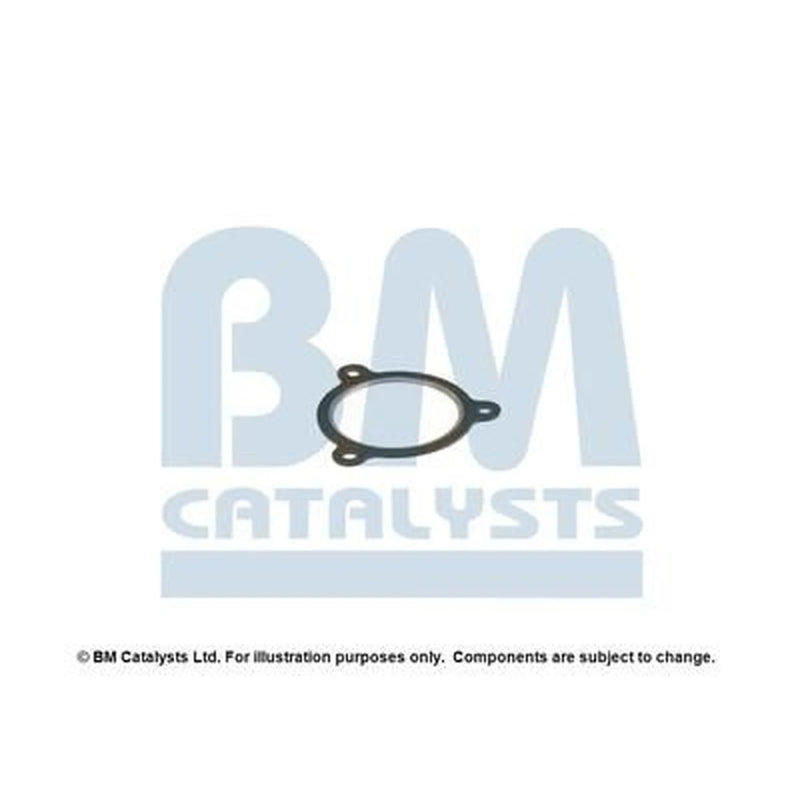 BM Catalysts Fitting Kit FK92156A FK92156A