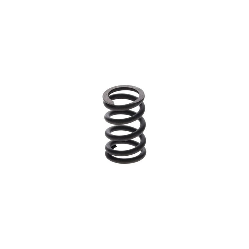 Bosch Compression Spring