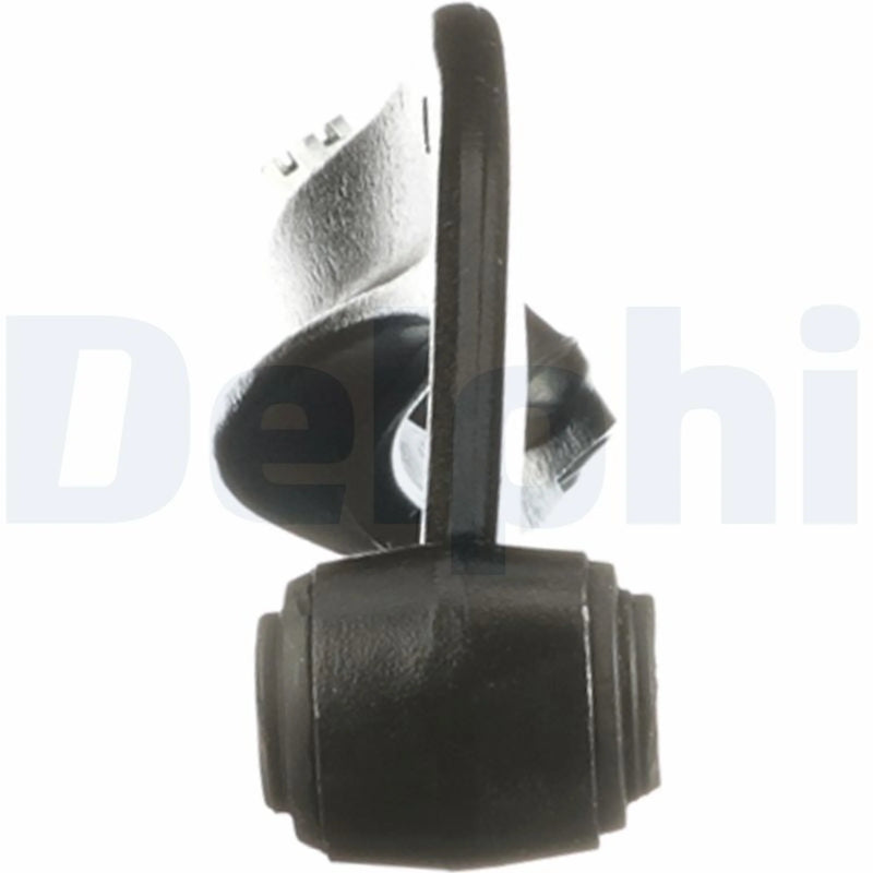 Delphi Control/Trailing Arm Lower fits Hyundai Santa Fé I 2000-2006 2.0 2.4 2.7