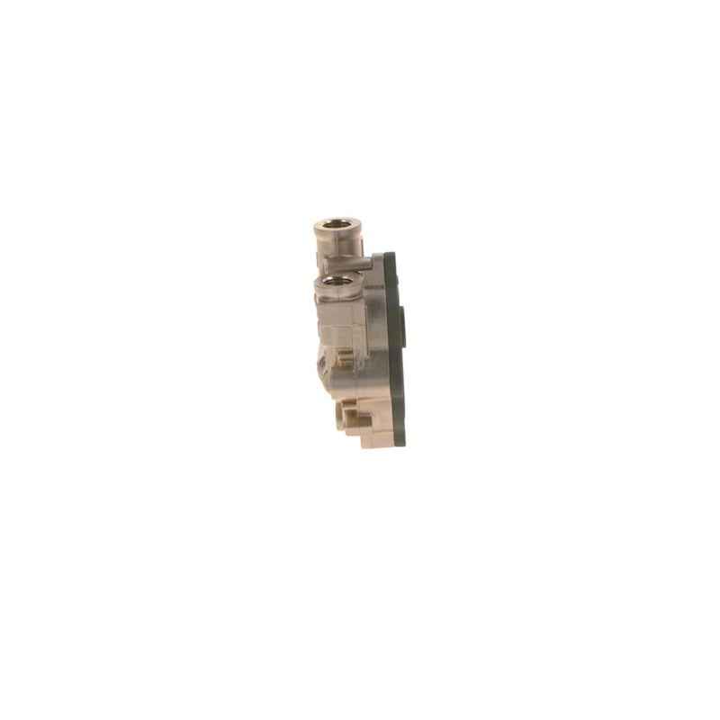 Bosch Fuel Pump Assembly