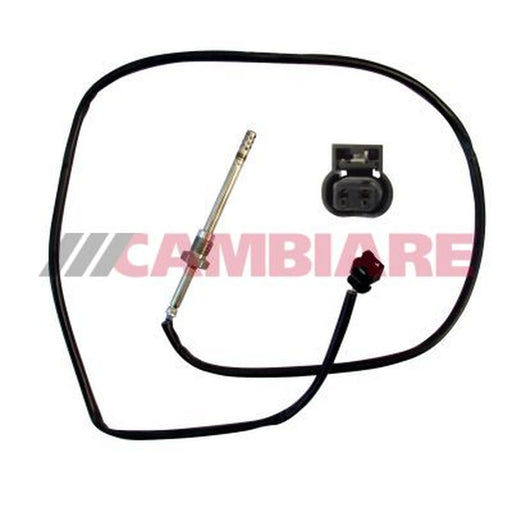 Cambiare Exhaust Gas Temperature Sensor VE390177