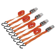 Sealey Ratchet Straps 25mm x 4m 500kg Breaking Strength - 2 Pairs