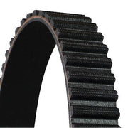Continental CTAM Timing Belt Cambelt 120 Teeth fits Volvo 940 1990-1998 2.4