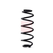 Apec Rear Suspension Coil Spring fits Audi A4 B8 2007-2015 1.8