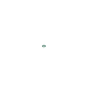 Bosch Rubber Seal Ring