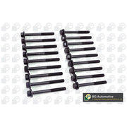 BGA Cylinder Head Bolt Set M11 BK4385