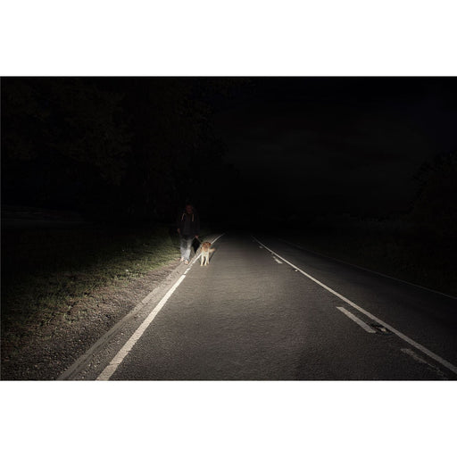 Ring 12V 55W H1 P14.5S Xenon5000 Whiter Car Upgrade Headlight Headlamp Bulbs Ring Automotive - Dynamic Drive