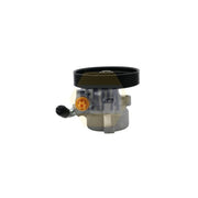 NAPA Power Steering Hydraulic Pump fits Citroën Nemo 2009 on 1.4