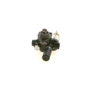 Bosch Fuel Pump Assembly