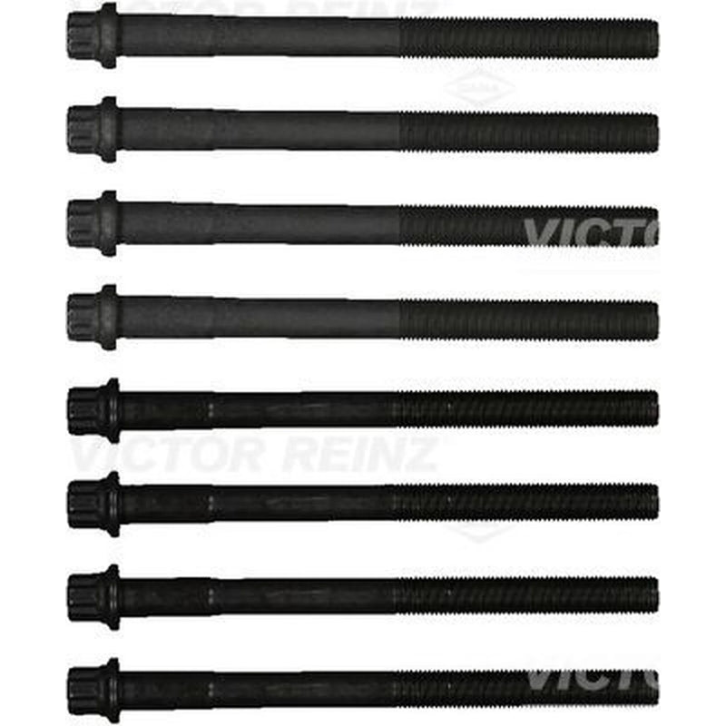 Victor Reinz Cylinder Head Bolt Set 14-20602-01