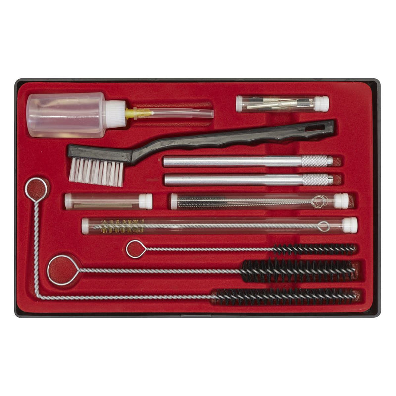 Sealey Spray Gun Cleaning Set 22pc BSGC5 Sealey - Dynamic Drive