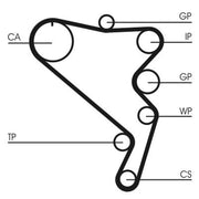 Continental CTAM Timing Belt Kit with Rollers fits VW Crafter 30-35 Bus