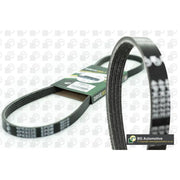 BGA Multi V-Ribbed Drive Belt 4PK906E