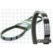 BGA Multi V-Ribbed Drive Belt fits Ford Focus III 2012-2018 2.0 2.3