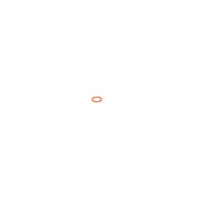 Bosch Sealing Ring Gasket