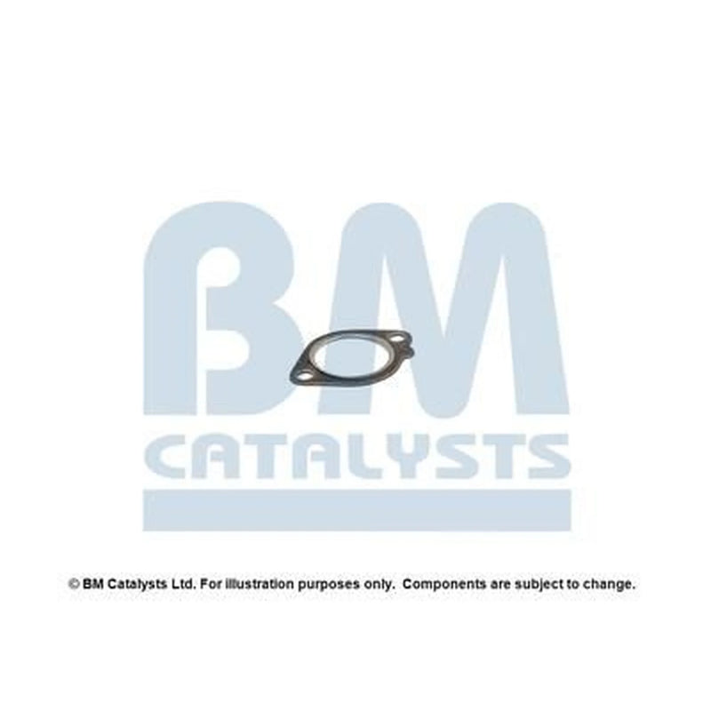 BM Catalysts Fitting Kit FK92196A FK92196A