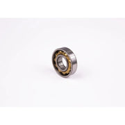 Bosch Universal Bearing