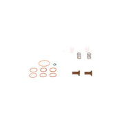 Bosch Fuel Pump Repair Kit