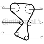 Continental CTAM Timing Belt Cambelt 175 Teeth fits Hyundai H-1 2001-2004 2.4