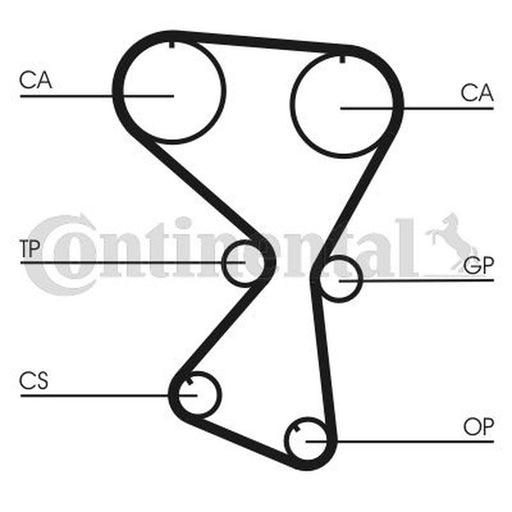 Continental CTAM Timing Belt Cambelt 175 Teeth fits Hyundai H-1 2001-2004 2.4