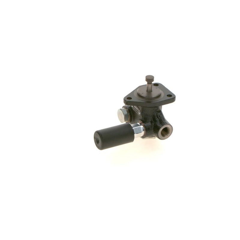 Bosch Fuel Pump Assembly