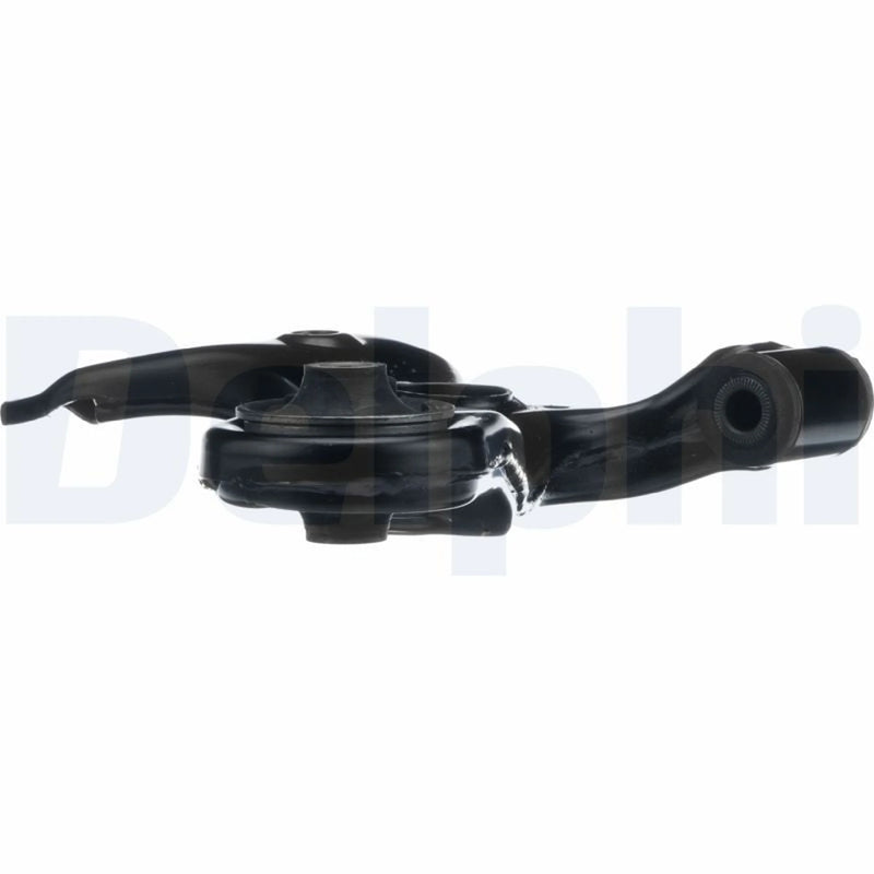 Delphi Control/Trailing Arm Lower fits Lexus Ct 2011 on