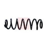 Apec Rear Suspension Coil Spring ACS1964