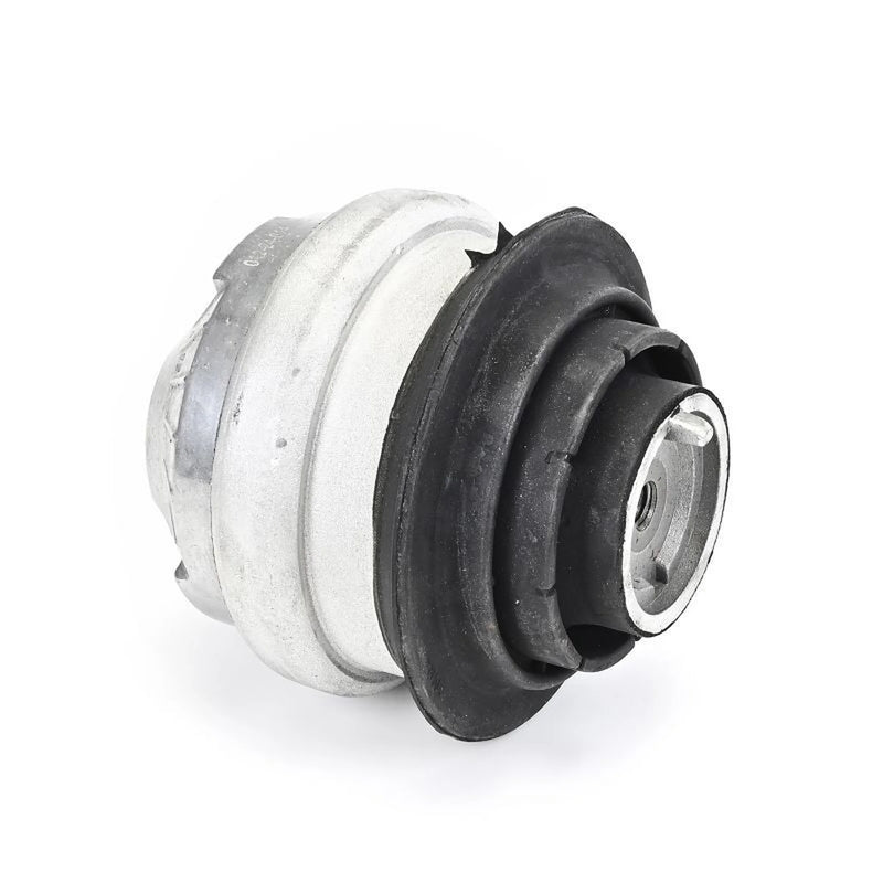 Delphi Engine Mount Mounting Front fits Mercedes-Benz E-Class 2002-2008