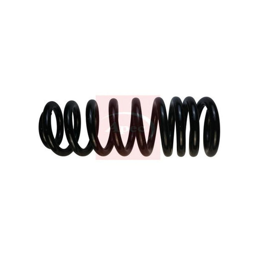 Apec Rear Suspension Coil Spring ACS1769