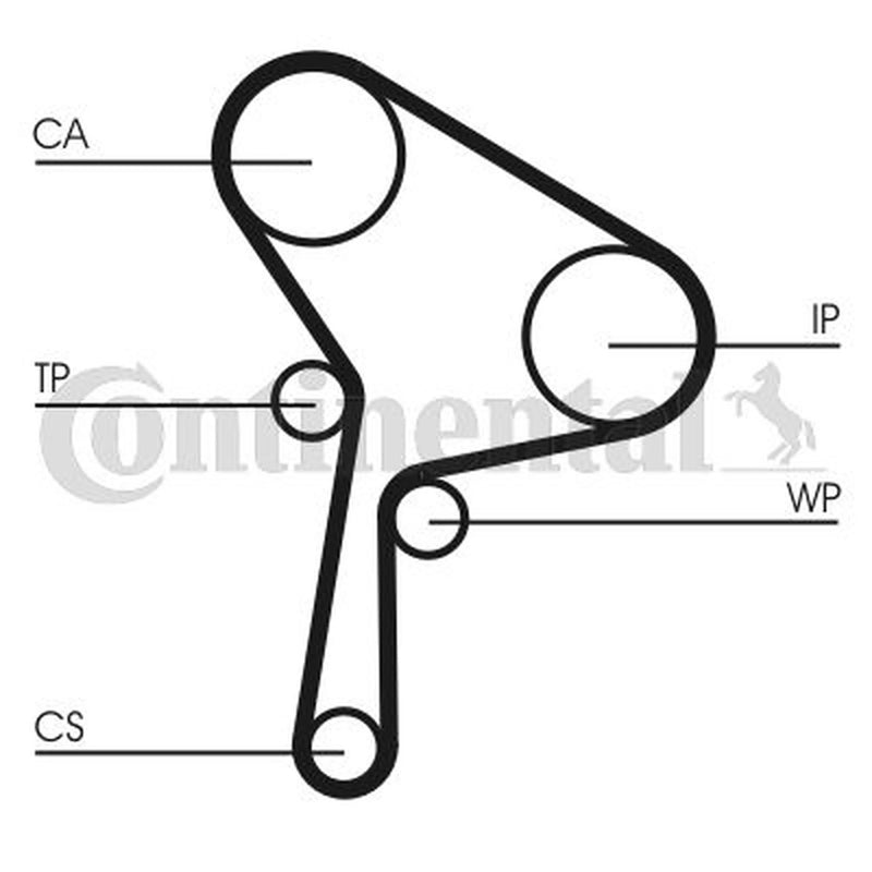 Continental CTAM Timing Belt Kit with Rollers fits Renault Grand Scénic III