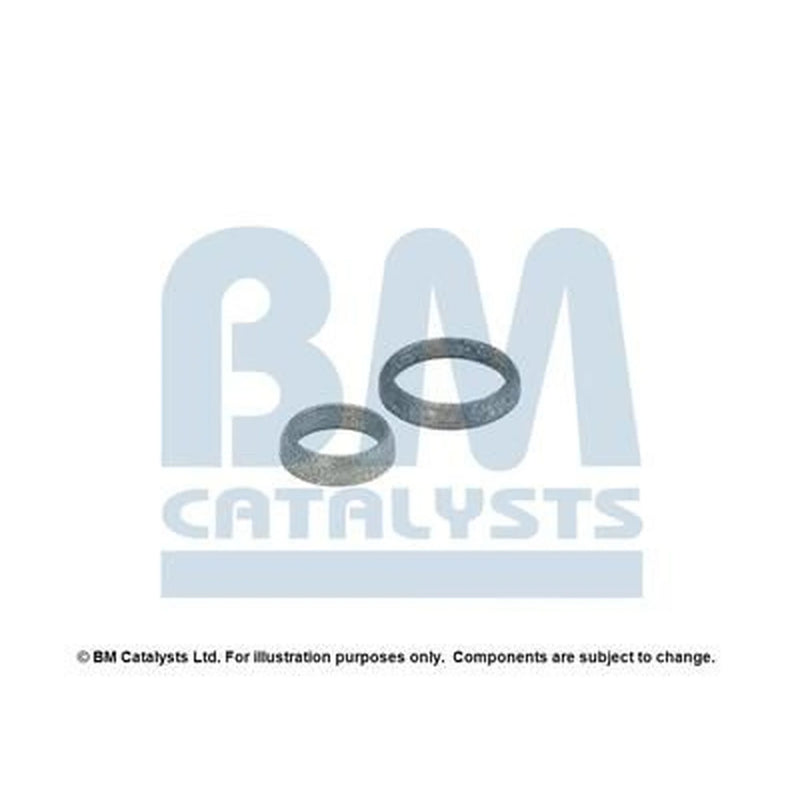 BM Catalysts Fitting Kit FK91839A FK91839A