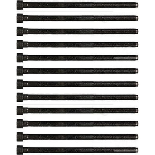 Victor Reinz Cylinder Head Bolt Set M12 14-35779-01