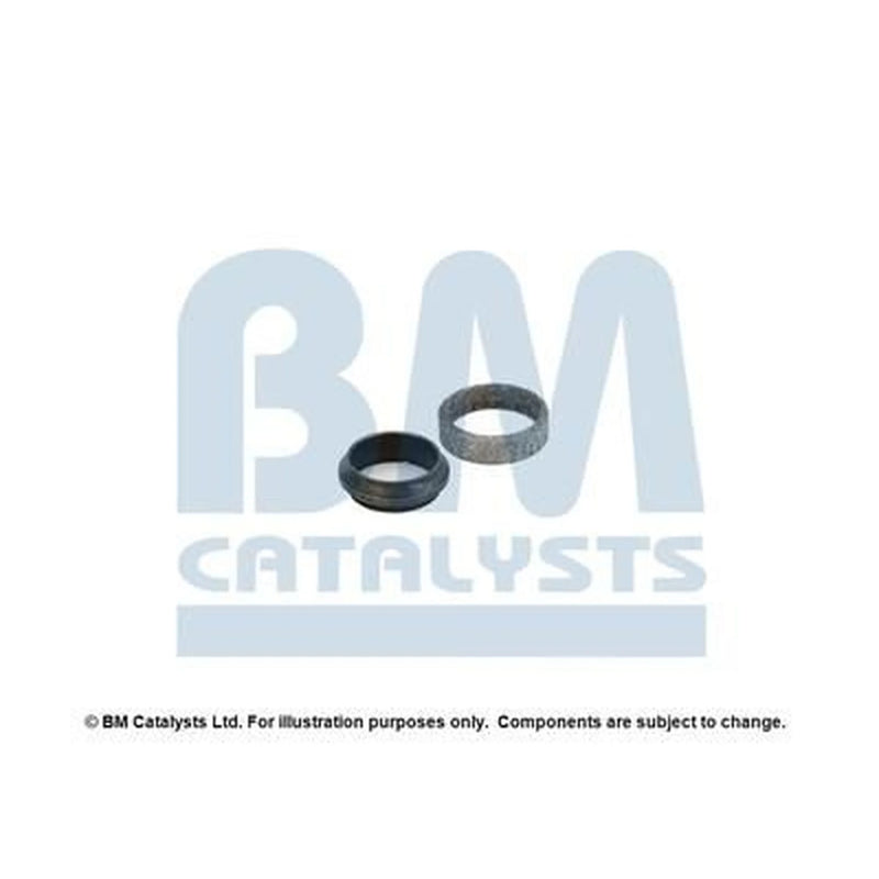 BM Catalysts Fitting Kit FK90644A FK90644A