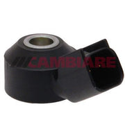 Cambiare Engine Knock Sensor VE369007
