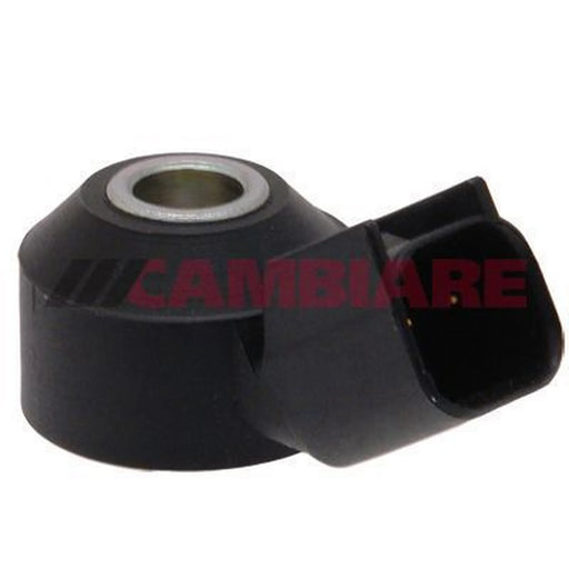 Cambiare Engine Knock Sensor VE369007