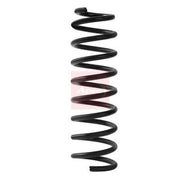 Apec Rear Suspension Coil Spring ACS2509