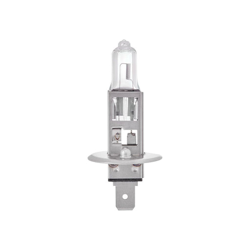 Ring 12V 100W H1 P14.5S Rally Off Road Car Upgrade Headlight Headlamp Bulbs Ring  - Dynamic Drive