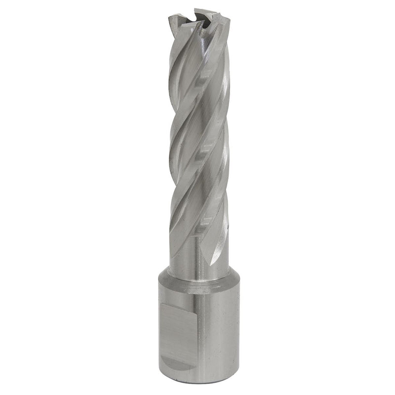 Sealey Rotabor Cutter HSS15mm Cut Depth 50mm RBHSS15L Sealey - Dynamic Drive