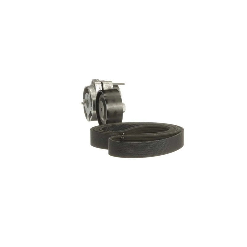 Gates V-Ribbed Belt Set K116PK1098