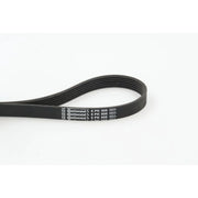 Continental CTAM Multi V-Ribbed Drive Belt fits Audi A3 1996-2001 1.9