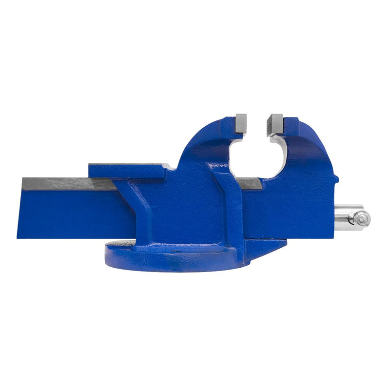 Sealey Vice 100mm Fixed Base CV100E Sealey - Dynamic Drive