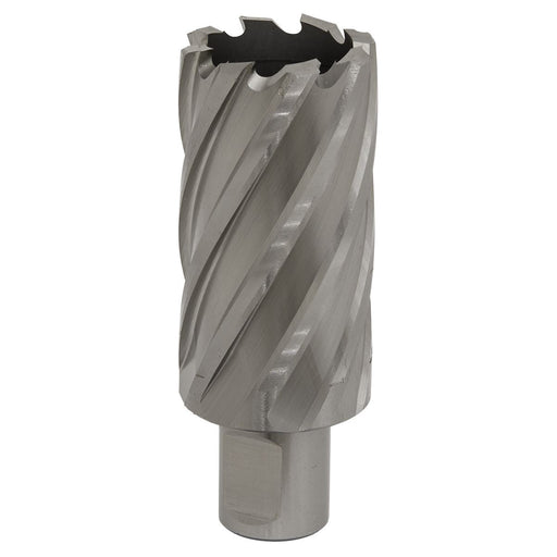Sealey Rotabor Cutter HSS33mm Cut Depth 50mm RBHSS33L Sealey - Dynamic Drive