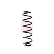 Apec Rear Suspension Coil Spring ACS1836