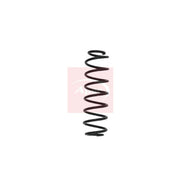 Apec Rear Suspension Coil Spring ACS1596