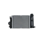 Hella Intercooler (Charge Air Cooler) 8ML 366 341-011