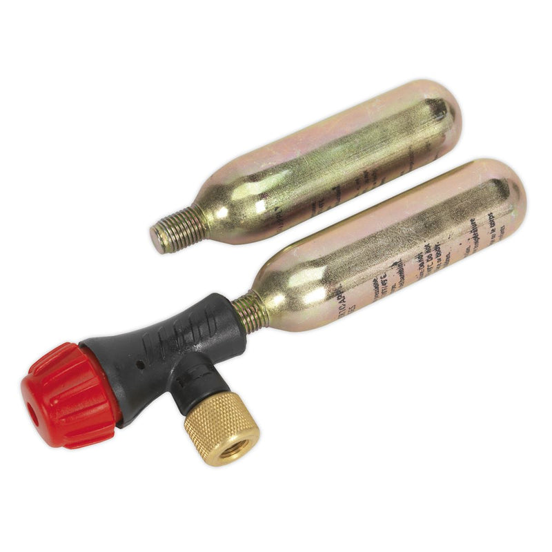 Sealey Motorcycle CO2 Emergency Tyre Inflator Kit MS087 Sealey - Dynamic Drive